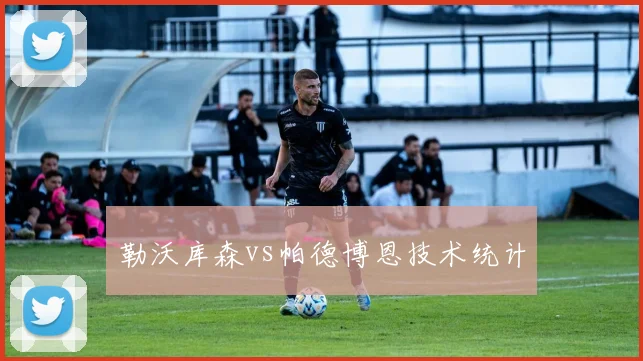 勒沃库森vs帕德博恩技术统计